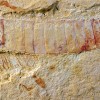 Complete specimen of Chengjiangocaris kunmingensis from the early Cambrian Xiaoshiba biota of South China. 