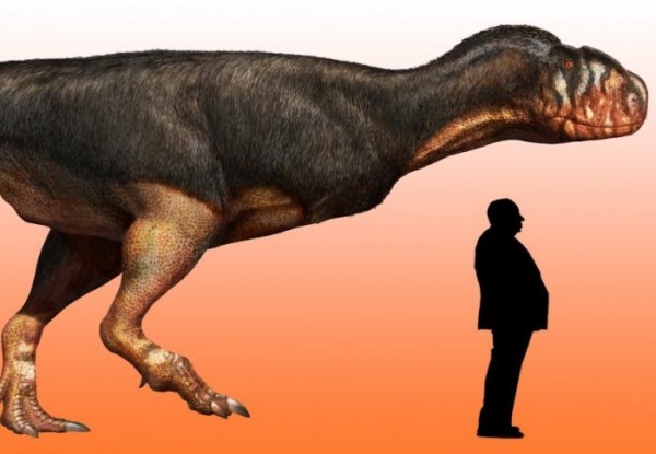 Fossil reveals the fearsome size of the odd looking, flesh eating abelisaur.