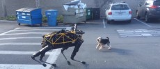 Spot, the quadruped robot dog, being introduced to Alex the terrier.