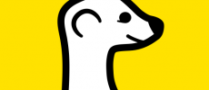 Meerkat App Logo