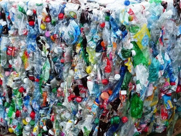 Japanese scientists discovered a new bacteria that can eat plastic and similar waste.