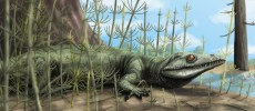 The 250 million year old Teyajugua reptile is a precursor to dinosaurs.