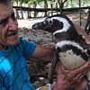 Joao Pereira de Souza and Dindim