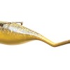 The Tully Monster is apparently a vertebrate that is a close cousin of the modern day lampreys.