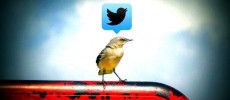 Twitter for Windows 10 and Windows 10 Mobile has been updated to version 5.0. This new versions brings to the table several important features.
