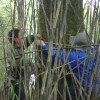 Technicians measuring trees in China's Wolong Nature Reserve
