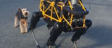 Boston Dynamics and Google could split ways in the coming months if recent reports hold true about these possibilities. We hope to hear why the search giant did this.