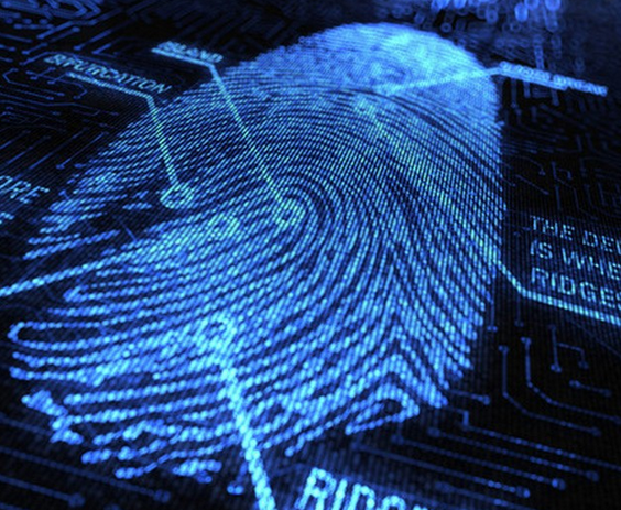 The study examined around 8,200 partial fingerprints for the potential prints MasterPrints using a commercial fingerprint verification software. (YouTube)