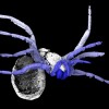 This 305 million year old 