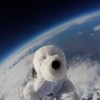 Sam the Space Dog