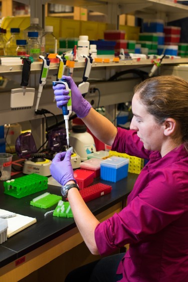 Lee Organick, a UW computer science and engineering research scientist, mixes DNA samples for storage. Each tube contains a digital file, which might be a picture of a cat or a Tchaikovsky symphony.