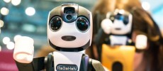 Sharp's RoboHon 