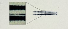 The pull-out box shows the strong lines of the element calcium, which are surprisingly easy to see in the century old spectrum.  The spectrum is the thin, (mostly) dark line in the center of the image. The broad dark lanes above and below are from lamps u