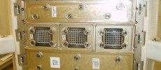 Side view: facility includes cages that will house six individual mice.