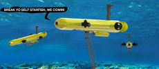 A killer robot, called the COTSbot, is an autonomous sub that is 4.5-foot-long which helps kill the coral-eating crown-of-thorn starfishes (COTS).