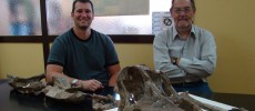 The newly discovered Sarmientosaurus in Argentina resembled a droopy donkey.