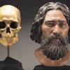 A clay facial reconstruction of Kennewick Man shows what he many have looked like. 