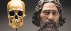 A clay facial reconstruction of Kennewick Man shows what he many have looked like. 