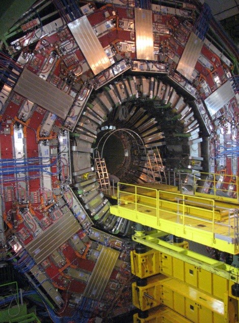 The Large Hadron Collider mysteriously shut down Friday when evidence of a "charred, small mammal" was found near damaged power cables.