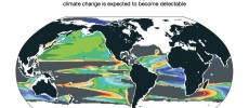 Deoxgenation due to climate change is already detectable in some parts of the ocean. 