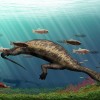 This strange hammerhead creature is the first herbivore marine reptile in the world.  