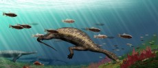 This strange hammerhead creature is the first herbivore marine reptile in the world.  