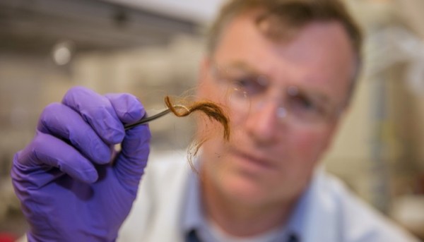 Researchers from LLNL and a Utah startup company have developed the first-ever biological identification method that exploits the information encoded in proteins of human hair.