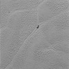 Transmitted to Earth on Dec. 24, 2015, this image from the Long Range Reconnaissance Imager (LORRI) extends New Horizons’ highest-resolution swath of Pluto to the center of Sputnik Planum, the informally named plain that forms the left side of Pluto’s “he