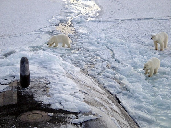 Polar bears besiege a remote outpost in the Arctic, trapping Russian meteorologists.