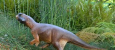 Psittacosaurus photographed in the Bristol Botanic Garden