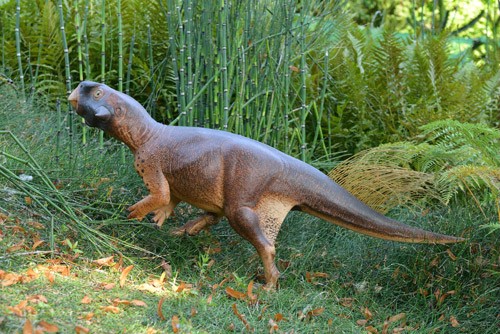 Psittacosaurus photographed in the Bristol Botanic Garden