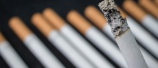 A close-up view of cigarettes. A new study has linked smoking cigarettes to heart diseases.