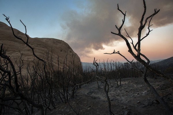  A scorched landscape is left behind at the Blue Cut Fire near Wrightwood, California.