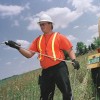 Fiber-optic cable