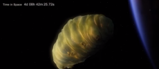 Tardigrades are indestructible creatures that can survive in space.