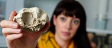 College of Science researcher Michelle Stocker holds a cast of Triopticus primus specimen, displaying the area where the animal's left eye was located.