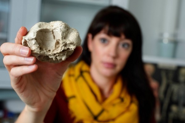 College of Science researcher Michelle Stocker holds a cast of Triopticus primus specimen, displaying the area where the animal's left eye was located.