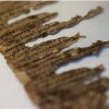 A detail of fragments of the 2000-year-old Dead Sea scrolls at a laboratory in Jerusalem, Israel.  
