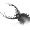 A reconstruction of the Pambdelurion