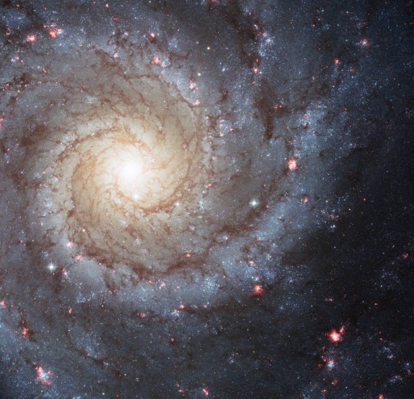 Messier 74, also called NGC 628, is a stunning example of a grand-design spiral galaxy that is viewed by Earth observers nearly face-on.