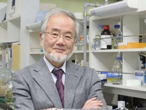 Japanese Scientist Yoshinori Ohsumi studied "cell autophagy." 