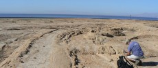 Scripps geologist Neal Driscoll taking strike and dip measurements of the onshore sediment layers along the eastern edge of the Salton Sea.