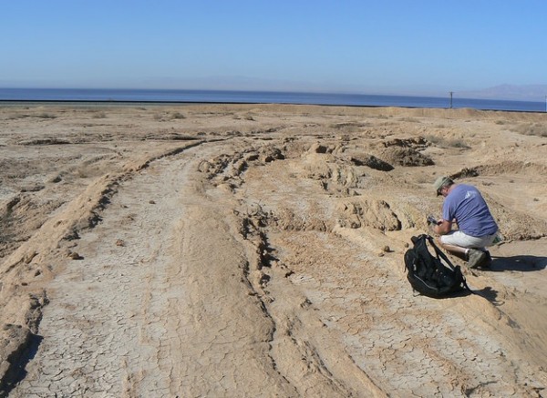 Scripps geologist Neal Driscoll taking strike and dip measurements of the onshore sediment layers along the eastern edge of the Salton Sea.