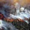 Climate change has led to an increase of the area that wildfire destroys annually in the western part of the US.