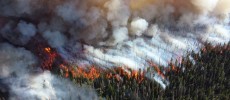 Climate change has led to an increase of the area that wildfire destroys annually in the western part of the US.