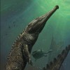 The Machimosaurus Rex is the largest prehistoric marine crocodile ever discovered, measuring at 32 feet.