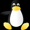 A flaw has been discovered in the Linux operating system.