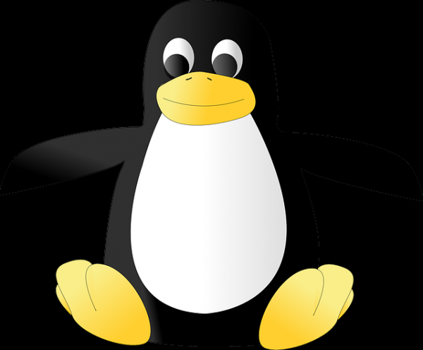 A flaw has been discovered in the Linux operating system.