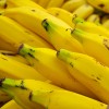 Bananas may go extinct in the coming years due to a fungal disease.