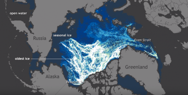 A new study has revealed a way to calculate the loss of sea ice by the amount of carbon dioxide emitted. (YouTube)